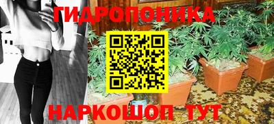 прущие грибы Волжский
