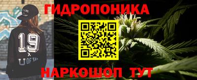 прущие грибы Волжский