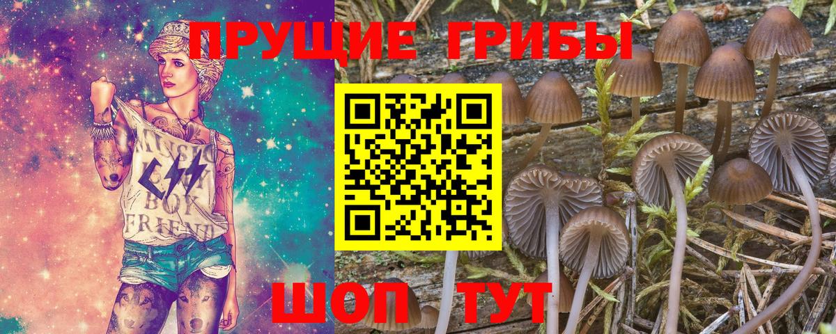 Галлюциногенные грибы мицелий  Вход с VPN  Россия 